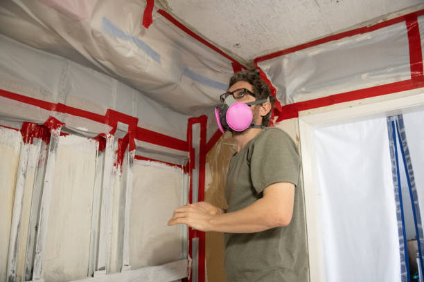 Bee Cave, TX Mold Removal Company